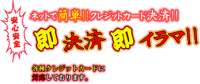 ネットで簡単クレジットカード決済！！