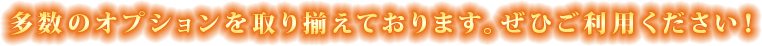 多数のオプションを取り揃えております。ぜひご利用ください！