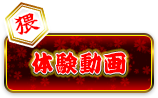 体験動画