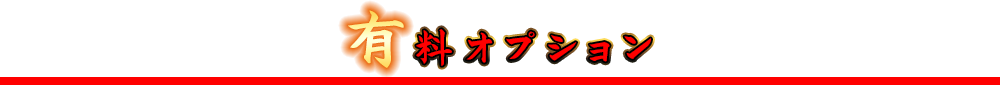 有料オプション
